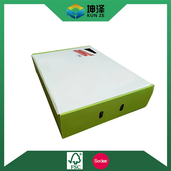 Scallion Packaging Box
