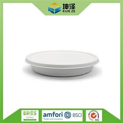 Bagasse komposterbart bassin