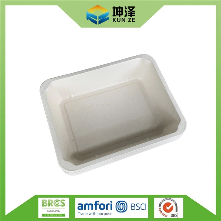 Sugarcane Bagasse Containers2