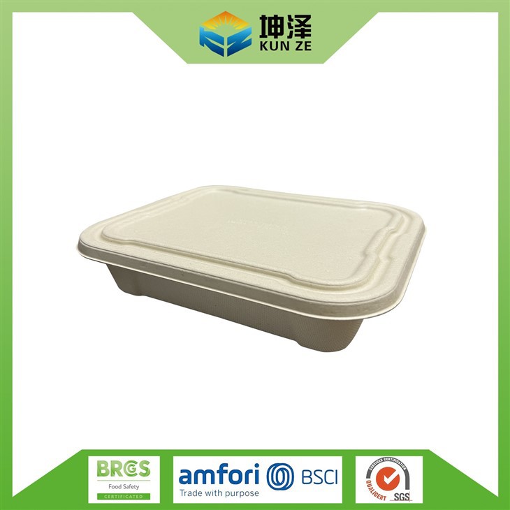Vegetable Serving Tray With Lid