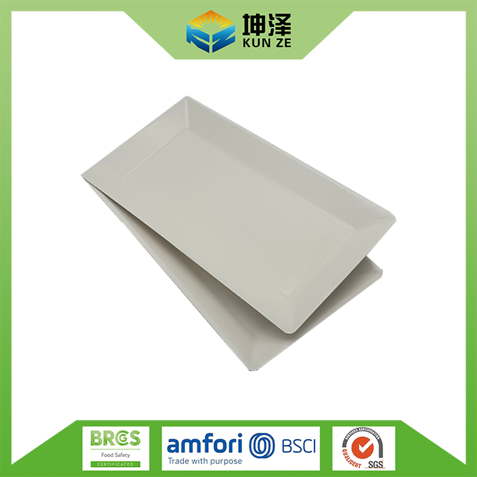 White Rectangular Paper Plate