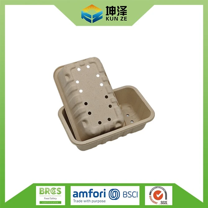 Compostable Fruit Tray