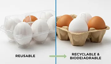 Hvorfor smarte ægproducenter dropper plastik: En rå 2026-sammenligning