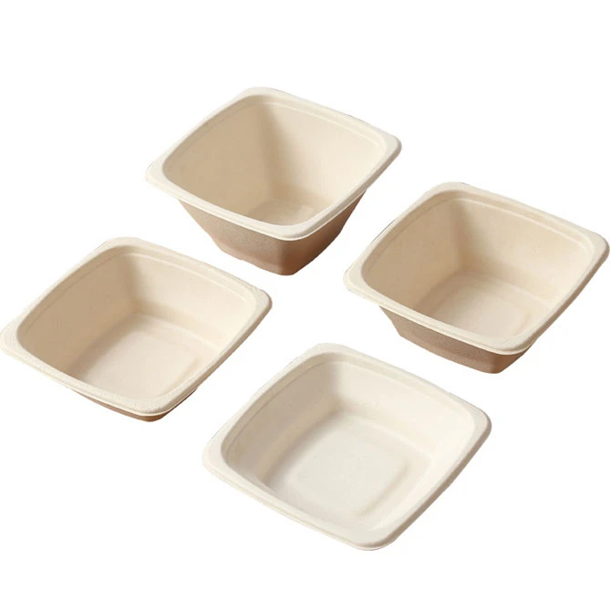 Disposable Bento Containers