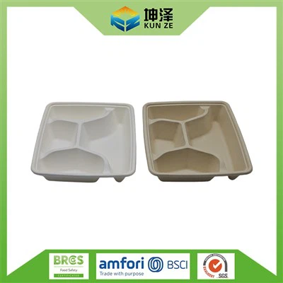 Bagasse Snackbakke